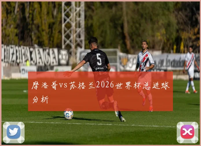 摩洛哥vs苏格兰2026世界杯总进球分析