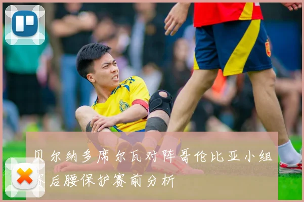 贝尔纳多席尔瓦对阵哥伦比亚小组赛后腰保护赛前分析