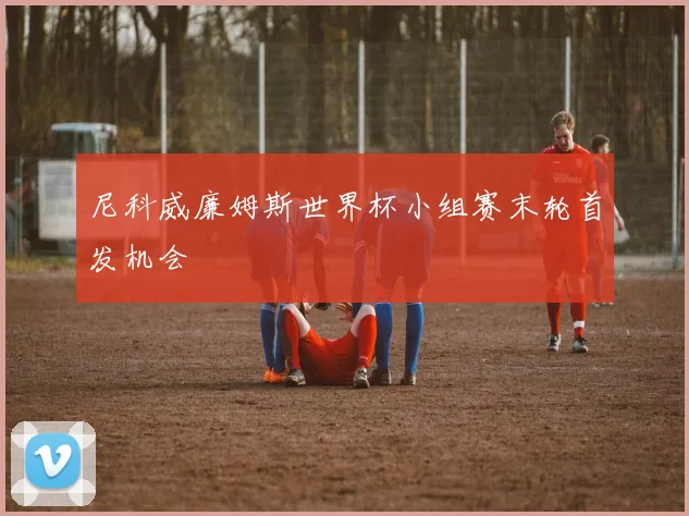 尼科威廉姆斯世界杯小组赛末轮首发机会