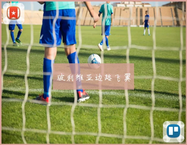 玻利维亚边路飞翼