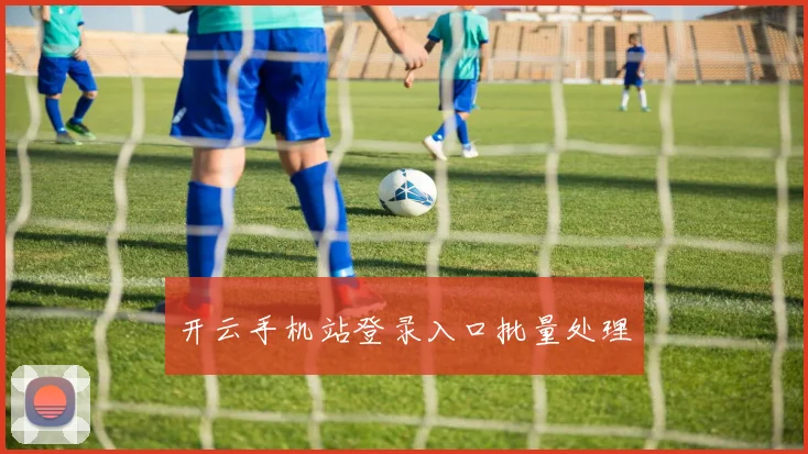 开云手机站登录入口批量处理