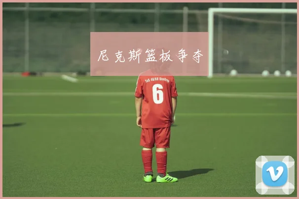 尼克斯篮板争夺