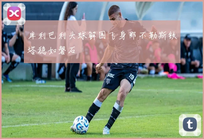 库利巴利头球解围飞身那不勒斯铁塔稳如磐石