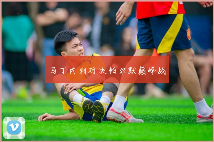 马丁内利对决帕尔默巅峰战