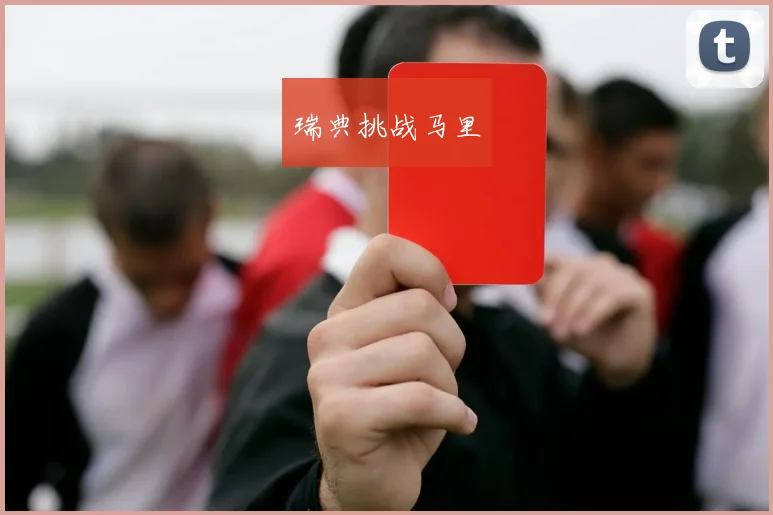 瑞典挑战马里
