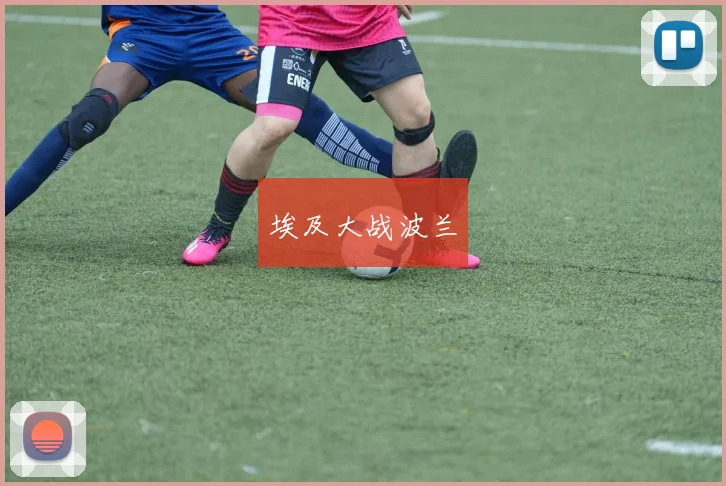 埃及大战波兰