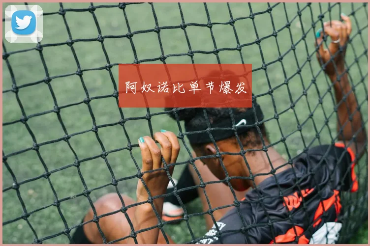 阿奴诺比单节爆发