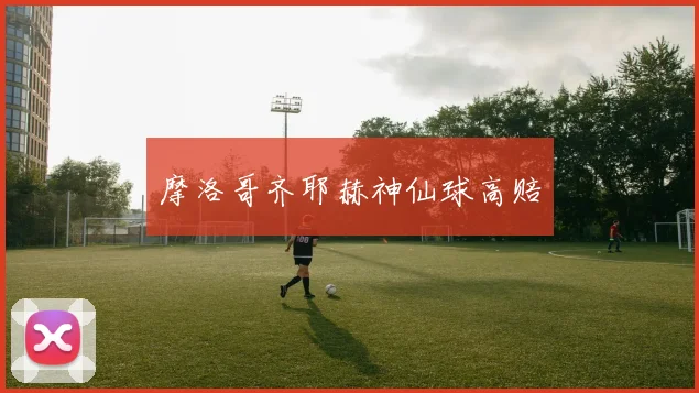 摩洛哥齐耶赫神仙球高赔