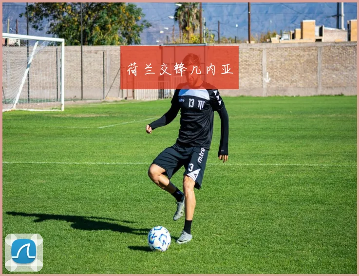 荷兰交锋几内亚
