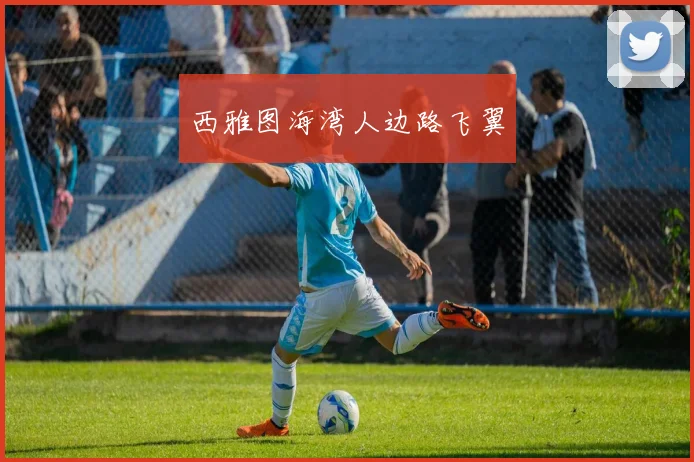 西雅图海湾人边路飞翼
