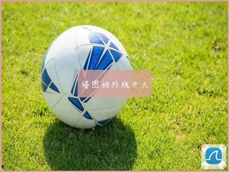 塔图姆外线开火