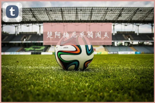 楚阿梅尼单骑闯关