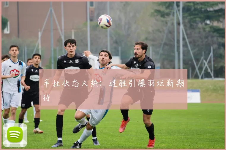 辛杜状态火热：连胜引爆羽坛新期待