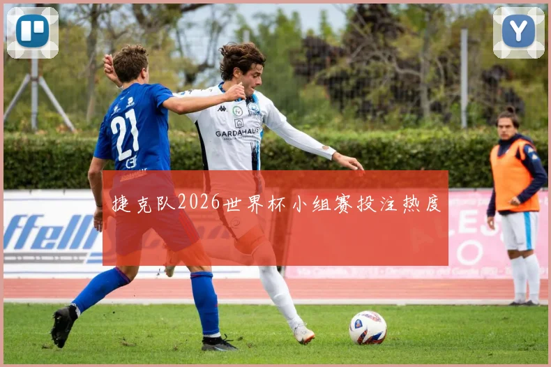 捷克队2026世界杯小组赛投注热度