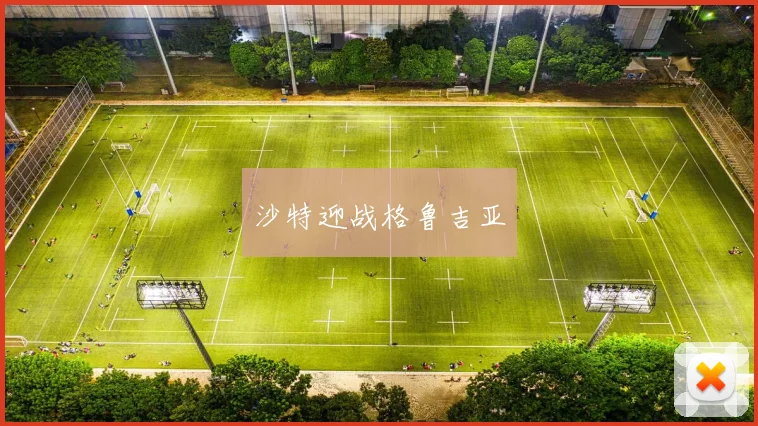 沙特迎战格鲁吉亚