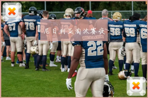 尼日利亚淘汰赛夜