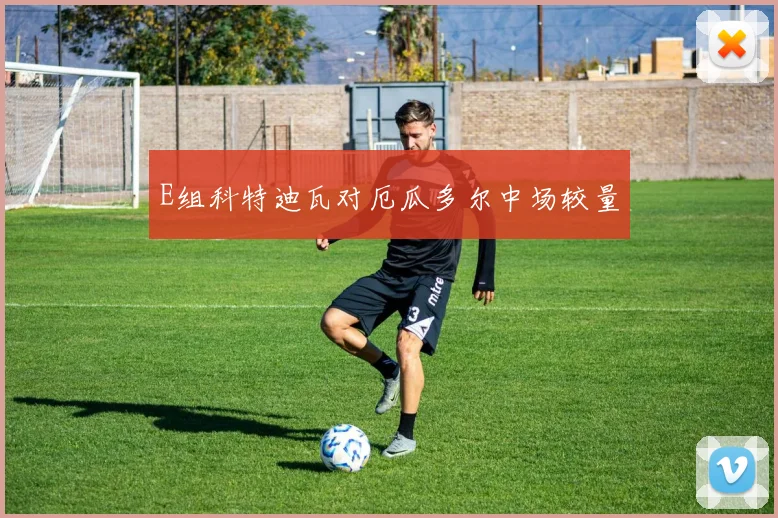 E组科特迪瓦对厄瓜多尔中场较量