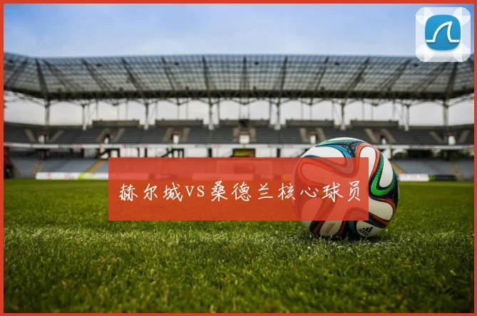 赫尔城vs桑德兰核心球员