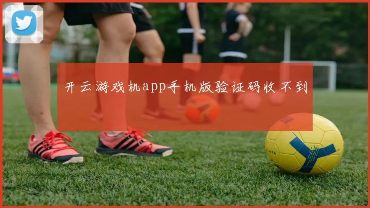 开云游戏机app手机版验证码收不到