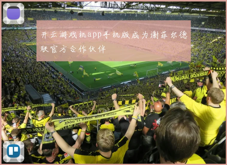 开云游戏机app手机版成为谢菲尔德联官方合作伙伴